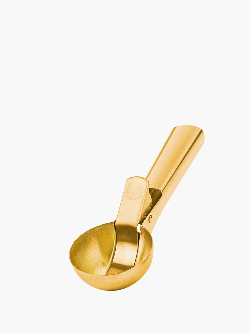 Gold Stainless Ice Cream Scooper
