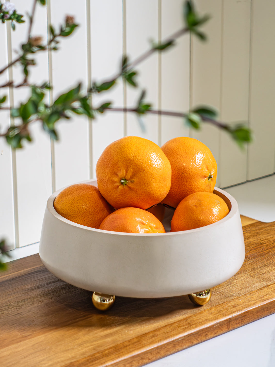 The Zimabli Bowl