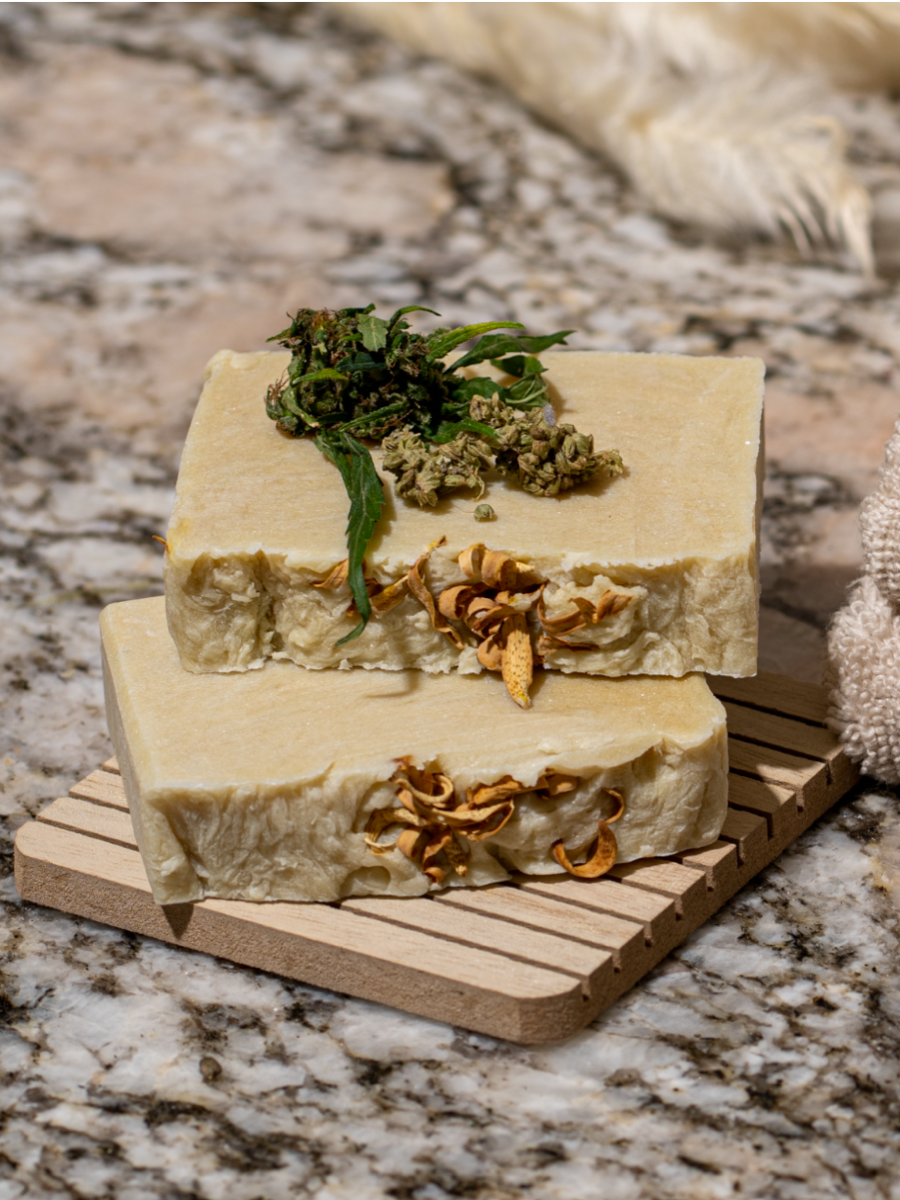 Orange // Cannabis Soap Bar
